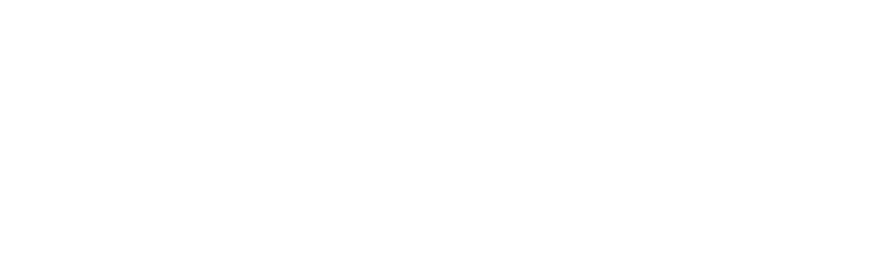 EV Workshop